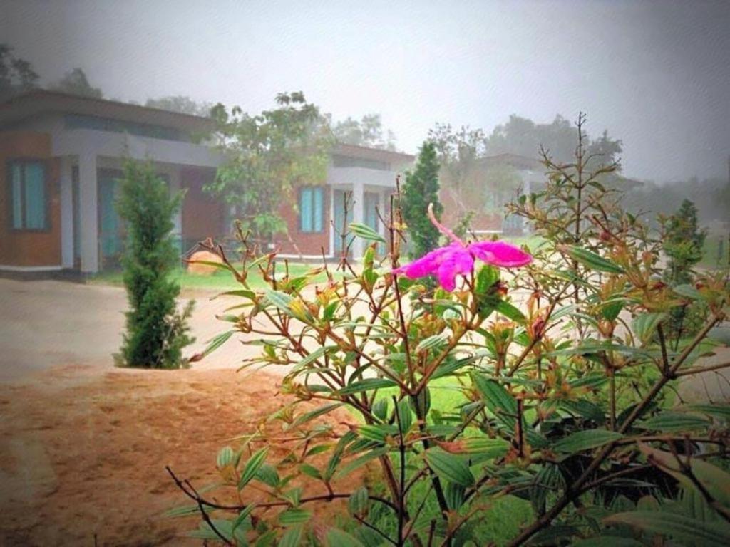 Nutchana Hill Boutique Hotel 合艾 外观 照片